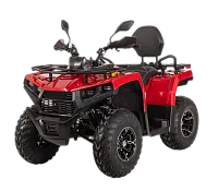 Квадроцикл Bizon YK250 LUX EFI